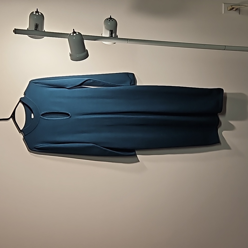 Gorgeous heavy weight  size lg dress by Melrose and Market.